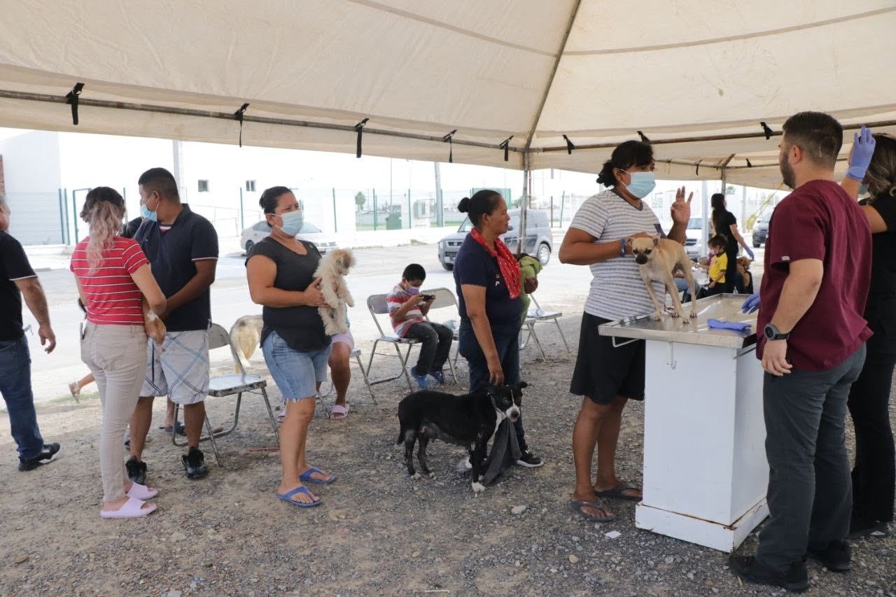 Brinda Gobierno Municipal atenciones para las mascotas