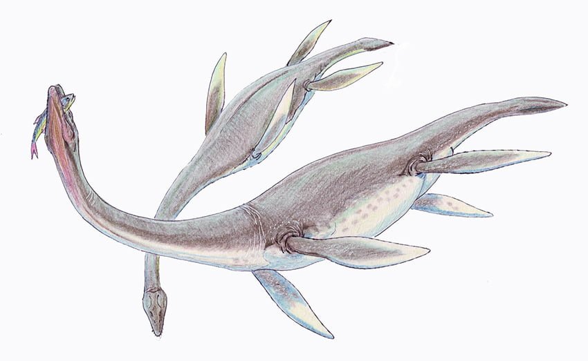 Hallan restos de reptil gigante prehistórico