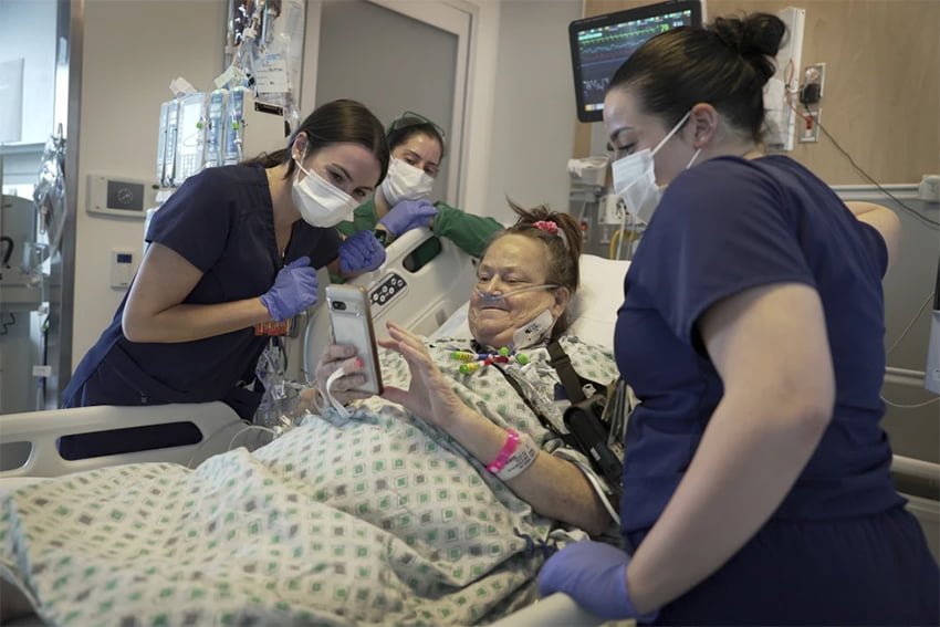Transplantan a mujer riñón de cerdo