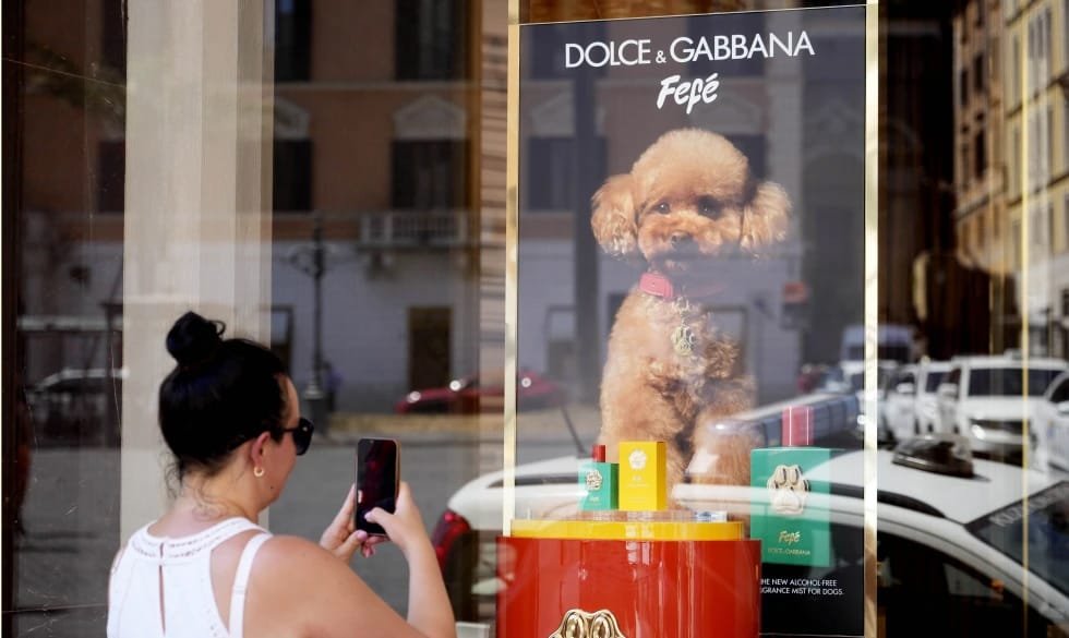 Lanza Dolce & Gabbana perfume para perros