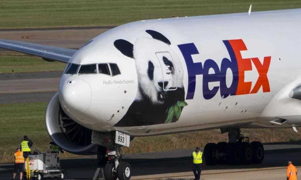 Viajan a EU dos pandas enviados por China