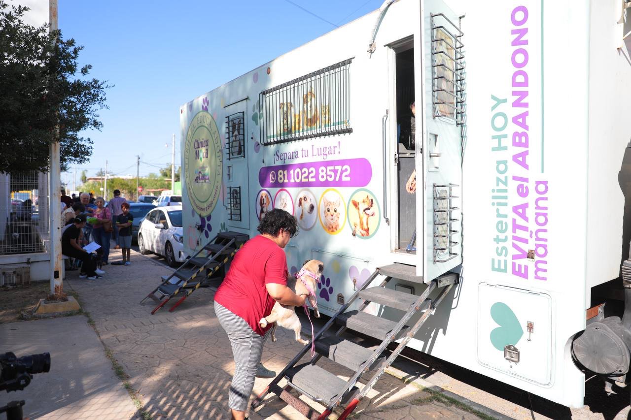 Habrá jornada de esterilización de perros y gatos callejeros