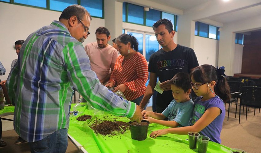 Aprenda a sembrar su comida en su casa