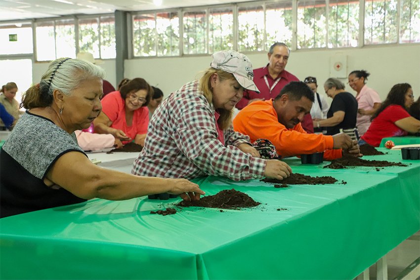 Enseñan a familias cómo cultivar sus alimentos