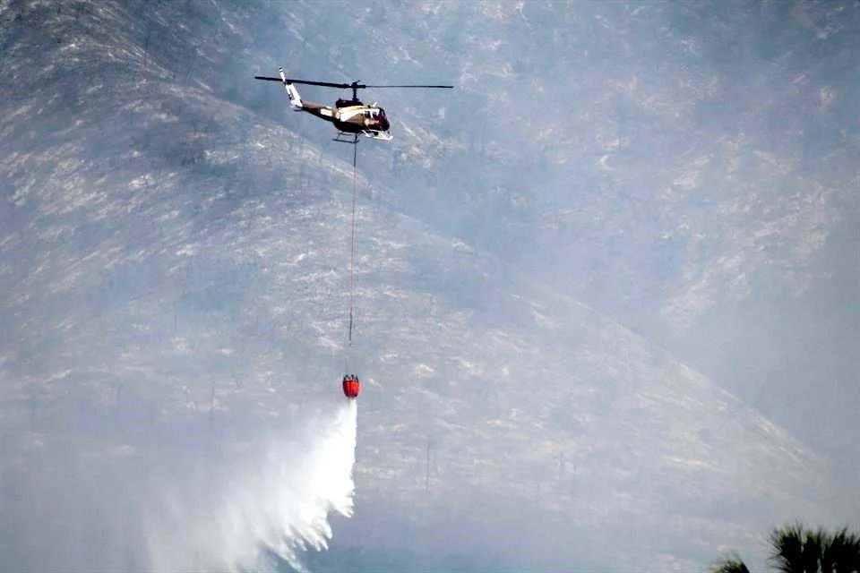 Extinguen incendios forestales en Tamaulipas