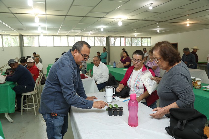 Concluyen con éxito los cursos de huertos familiares