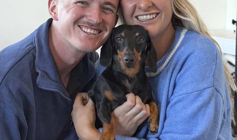 Se pierde perrita; la hallan 18 meses después