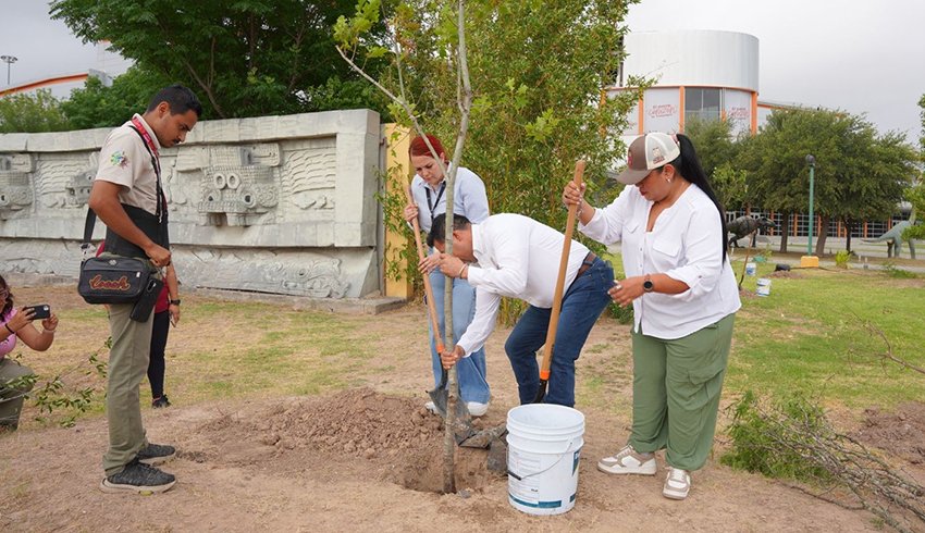 Impulsan campaña de reforestación en Nuevo Laredo