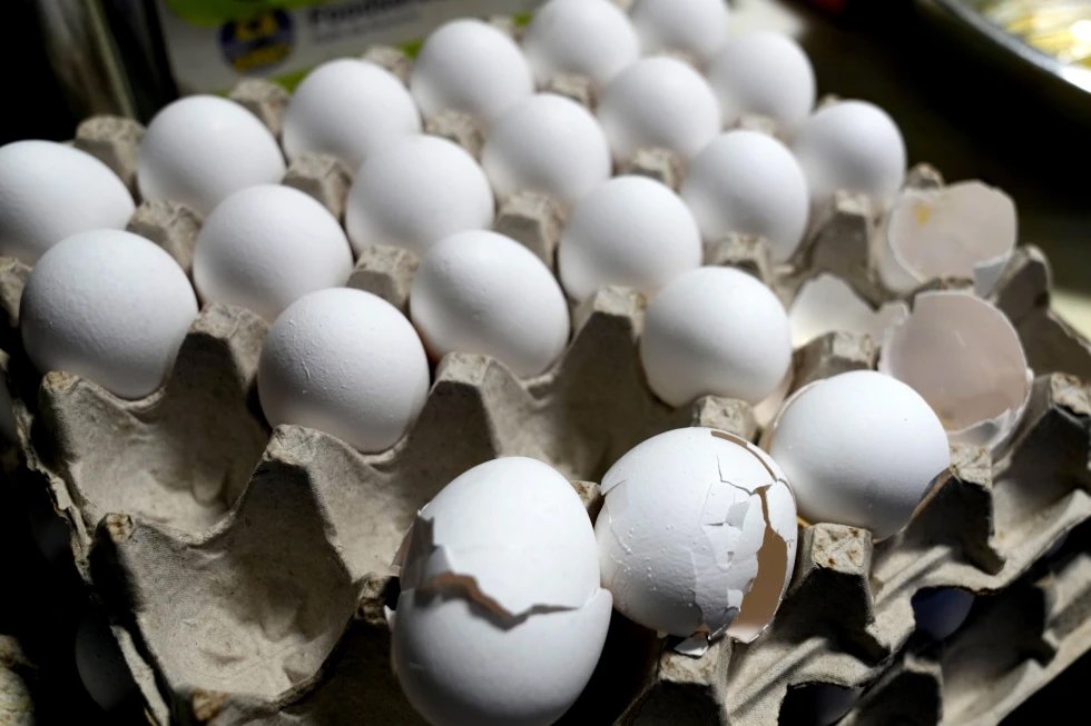 Cae, por fin, el precio del huevo en EU