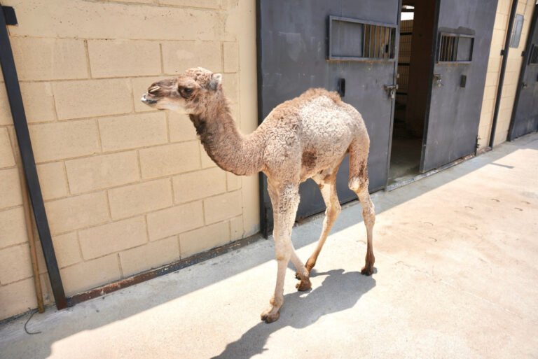 Stereo91-20250520-2-1